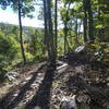 Climbing up Stephens Trail.