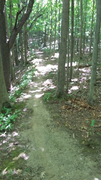 Some smooth trail near a ravine. Facing south.