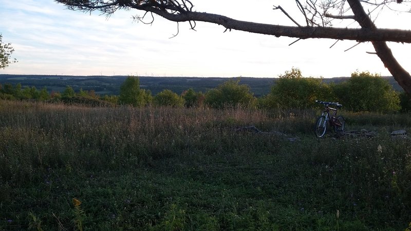 View of the wind turbines in the distance.