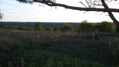 View of the wind turbines in the distance.