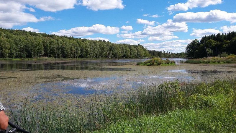 The largest pond. One of at least a half dozen.