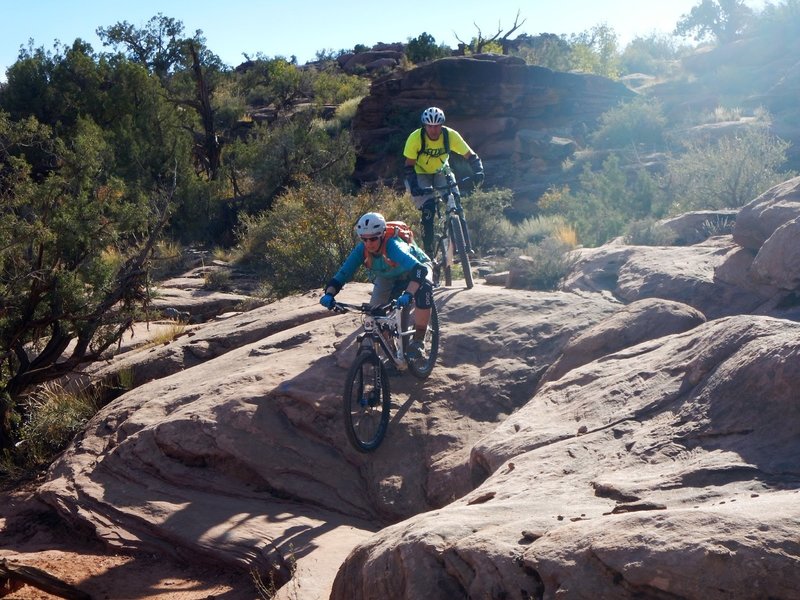 One of many fun rock features on this trail!