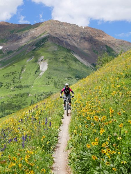 Ride this trail in wildflower season!