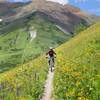 Ride this trail in wildflower season!