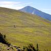 Riding above treeline. Probably the highest I have ever ridden my bike. Lung busting altitude.