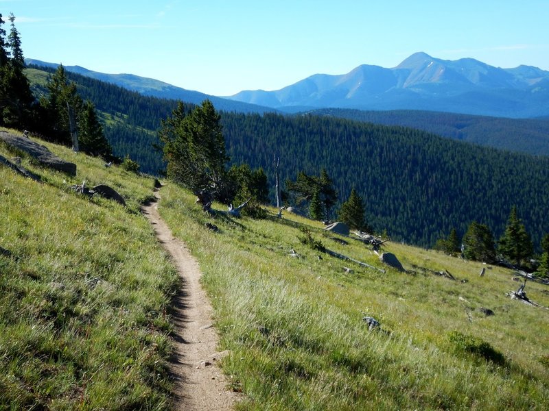 High alpine singletrack at its finest.