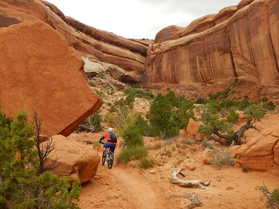 Navajo Rocks Loop Mountain Bike Trail Moab Utah