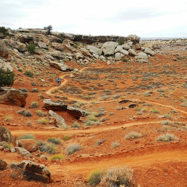 Some of the less rocky and more flowy parts of Moab.