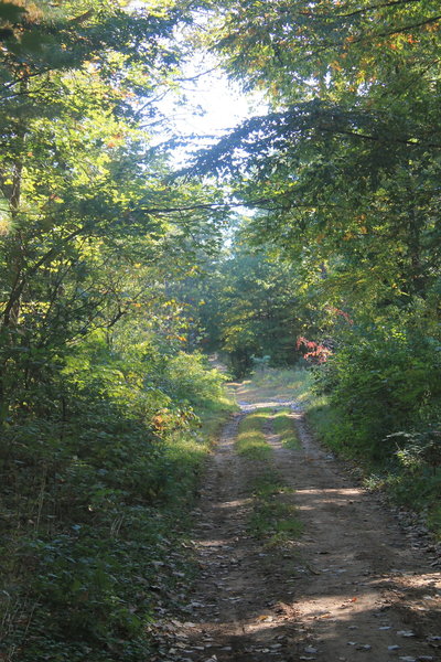 Red Trail doubletrack.