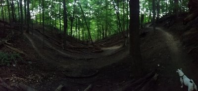 Panoramic photo of the big switchbacks.