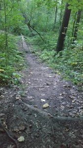 The log ride in the tech loop. There are several step downs leading up to this feature.