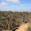 Trailhead for Bowtie Rim Trail.