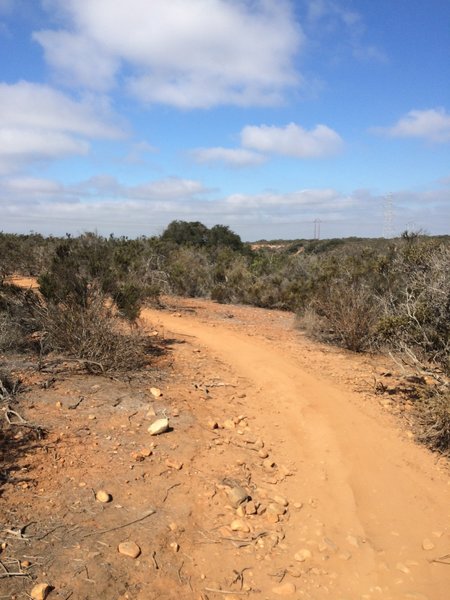 Bowtie Rim singletrack.