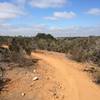 Bowtie Rim singletrack.