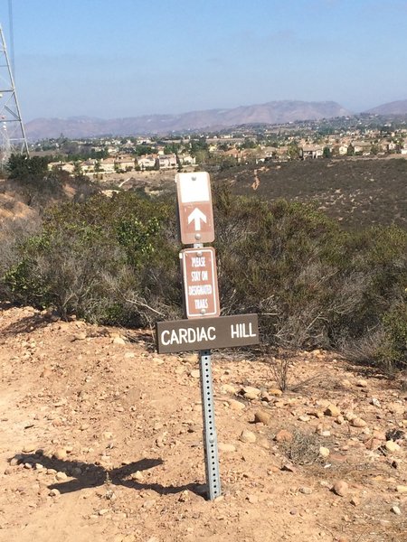 Cardiac Hill - doubletrack trail, BEWARE!