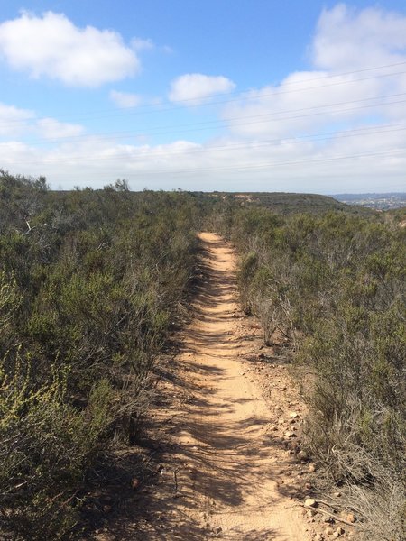 North Rim Trail.