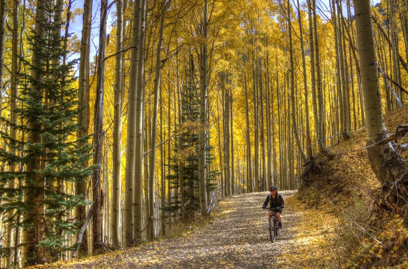 Aspen Alley.