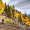 A break in the trees gives a view over Lockett Meadow.