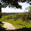 Wilder Ranch State Park.