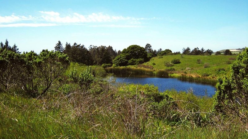 Wilder Ranch State Park.