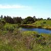 Wilder Ranch State Park.