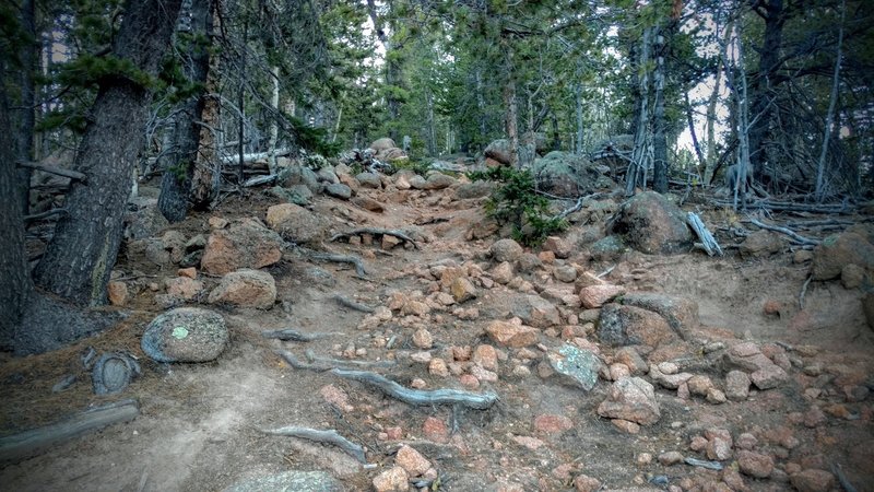 A gnarly rock garden along Putney Gluch Trail.