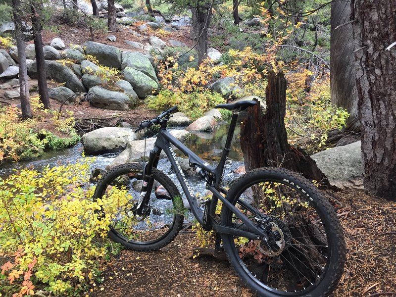 Cross the creek here if you can instead of going to bridge.  Love the fall colors!!