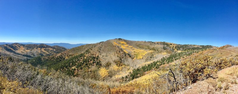 Amazing vista of fall colours near the apex of the climb along the highest ridge line!