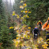 Late fall conditions can get a bit winery on O'Leary Ridge trail.