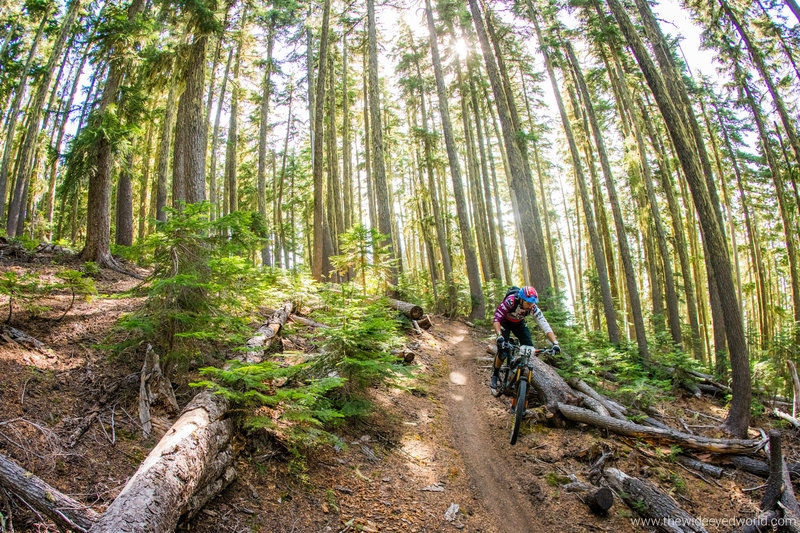 Catching a little air on the Windy Pass descent.