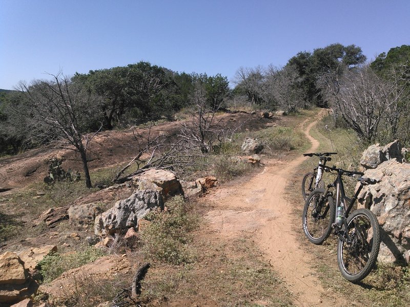 Awesome singletrack along the League Loop.