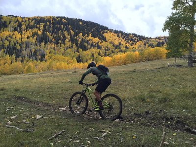 Working hard on a scenic section of the suitably named Aspen Flat Trail.