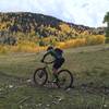 Working hard on a scenic section of the suitably named Aspen Flat Trail.