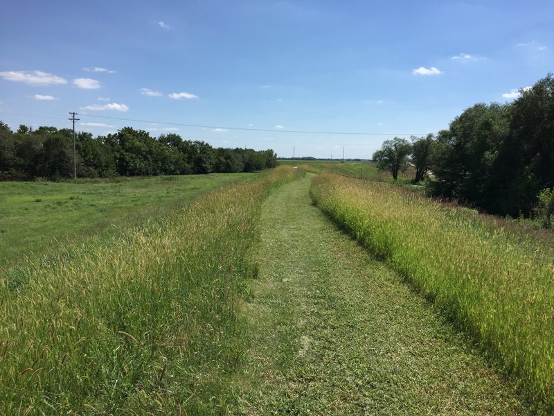 This section of trail is not paved and I have no idea how often it's mowed...