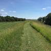 This section of trail is not paved and I have no idea how often it's mowed...