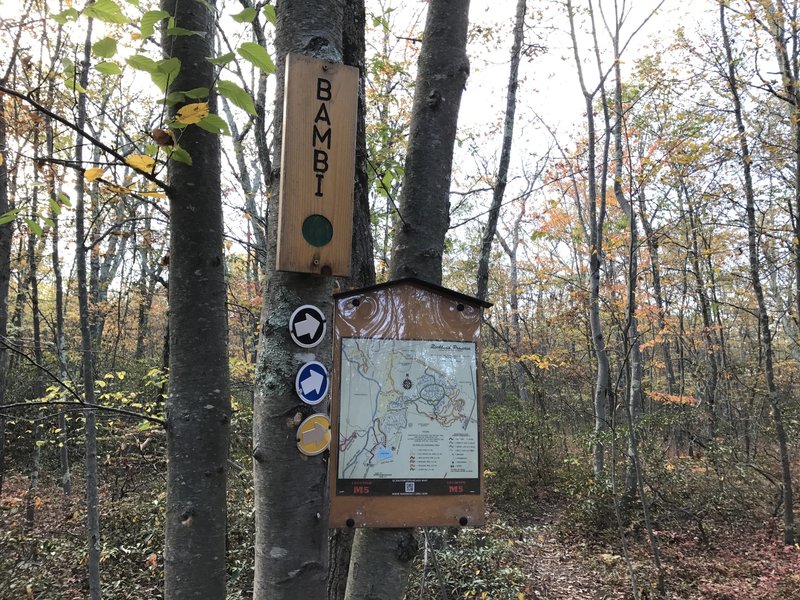 Bambi Trailhead.