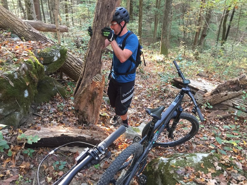 When riding the adventure trail taking a few minutes to clear some deadfall is always helpful for your next ride.