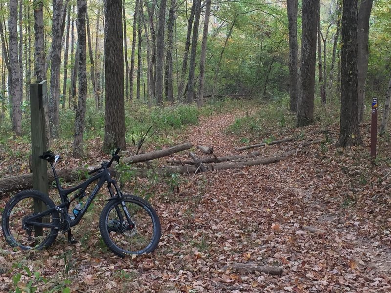 One of few bike/hike & horse trail crossing. These trails do not share user groups so please remain on the Adventure Trail.