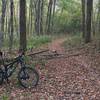 One of few bike/hike & horse trail crossing. These trails do not share user groups so please remain on the Adventure Trail.