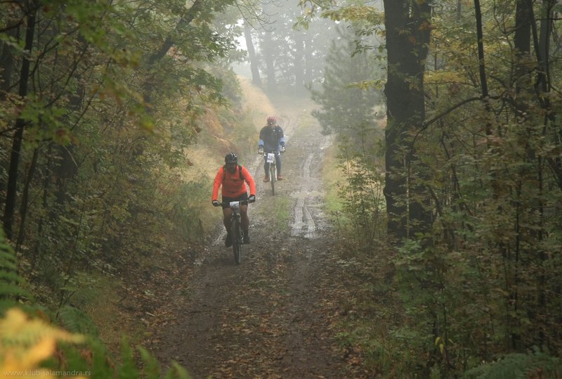 Riding Baberijus in Serbia-Ralja.