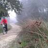 MTB trail Baberijus.