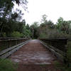 Econlockhatchee River Bridge.