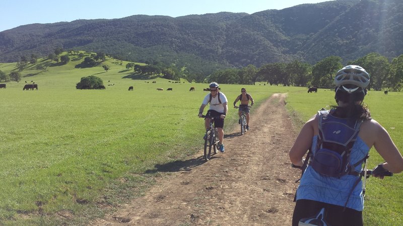 Grass is green... must be spring on the Miwok Trail.