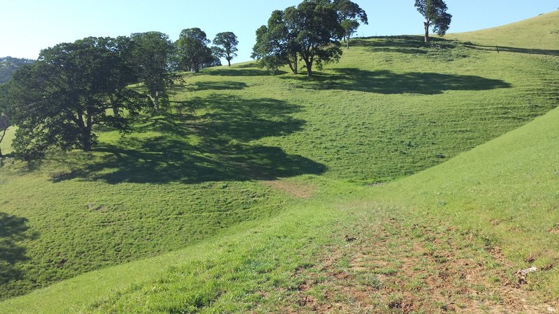 Fox Trail ends with steep climb to fence dead-end.