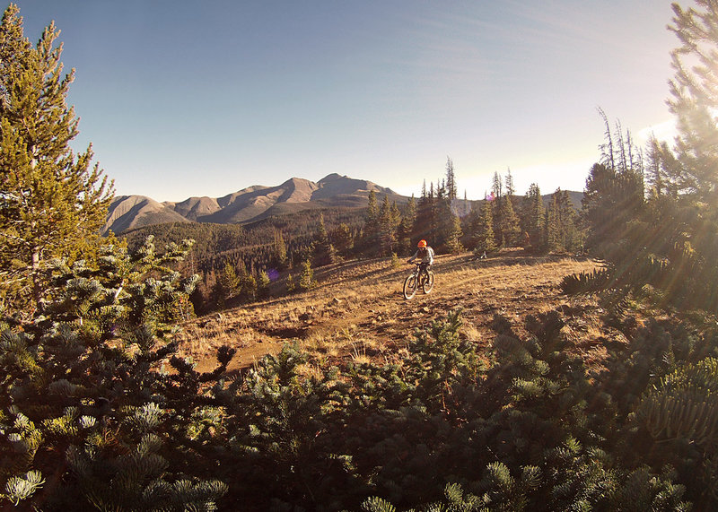 Colorado Trail on an October evening.