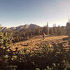 Colorado Trail on an October evening.