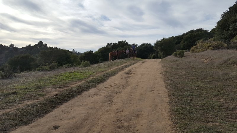 Top of MacDonald Trail.