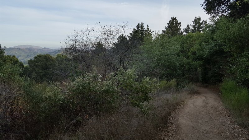 Goldenrod Trail view.