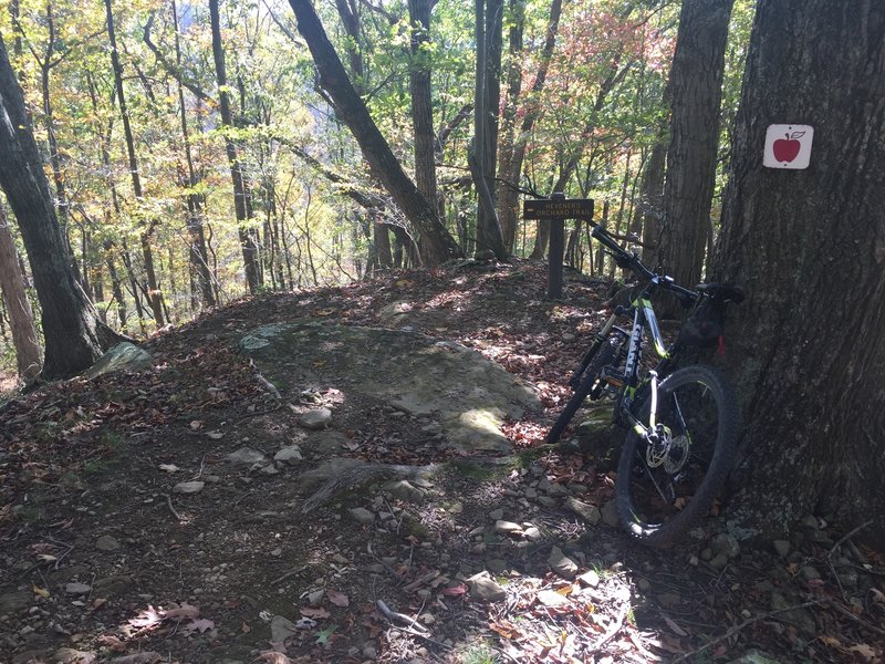 Coming off a rolling hill to sharp turn for a nice singketrack part of trail.