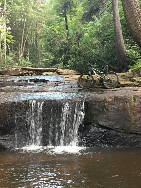 Just off the trail is a little stream with a small waterfall. Excellent area to relax!!